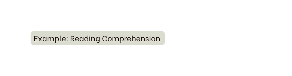 Example Reading Comprehension